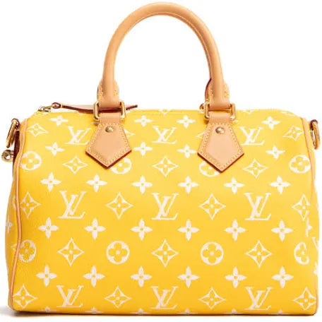 LV MONOGRAM BAG