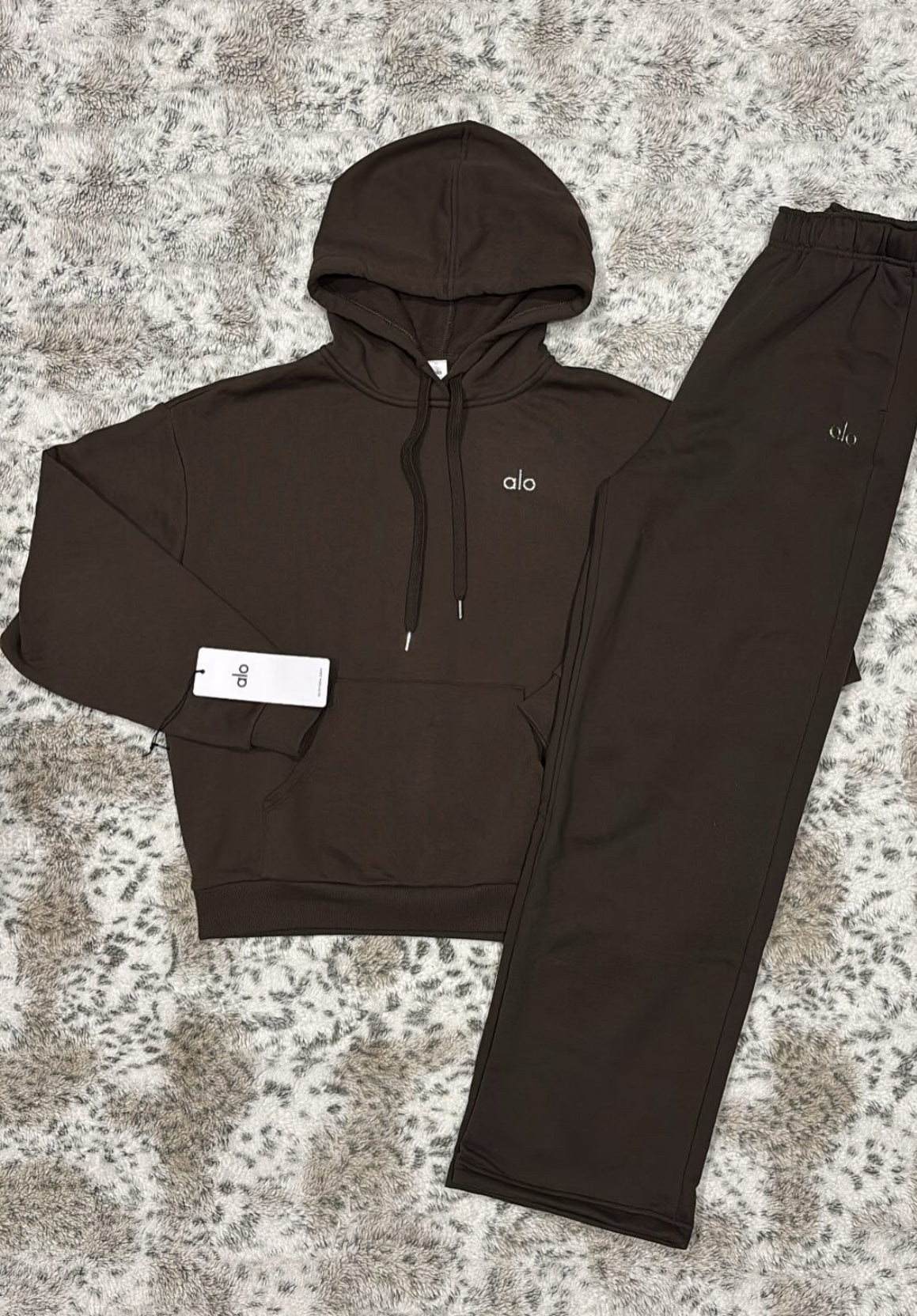 ALO ACTIVE HOODIE SET